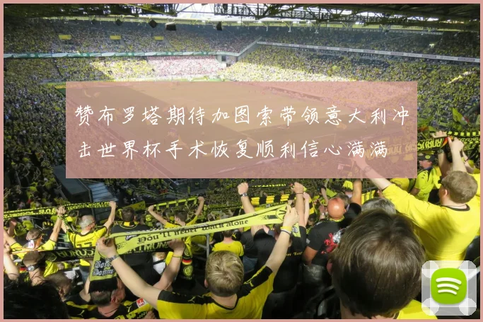 赞布罗塔期待加图索带领意大利冲击世界杯手术恢复顺利信心满满